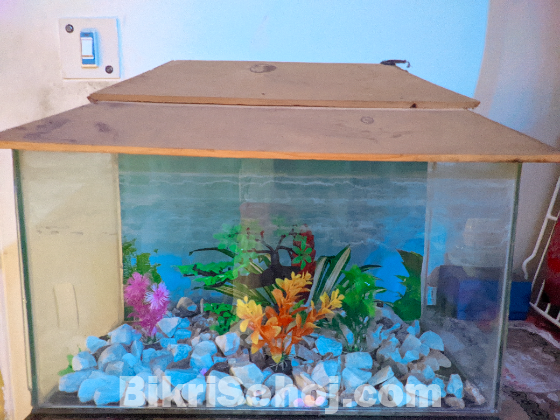 Fish aquarium